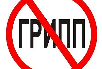 В Западной Европе бушует эпидемия гриппа