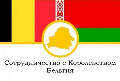 Логистика, фармацевтика и алмазы — Беларусь и Бельгия обсуждают направления для сотрудничества
