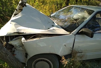 В Жлобинском районе малыш ехал в автомобиле на руках у мамы и пострадал в ДТП