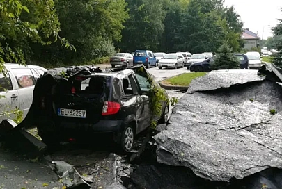 В Польше четыре человека погибли под упавшими во время бури деревьями