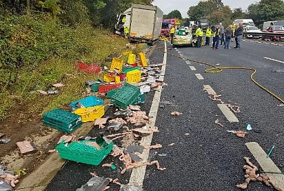 В Великобритании произошло "мясное" ДТП