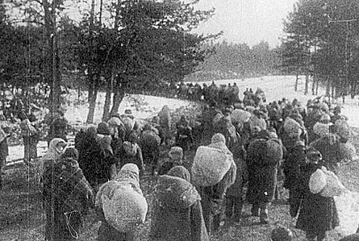 Концлагерь на болоте: за 10 дней  тысячи смертей