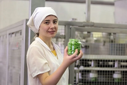На Гомельщине  в разгаре уборка и заготовка зеленого горошка