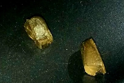 Знаменитая на Гомельщине служебная овчарка Дора вновь отличилась, найдя в кармане мозырянина гашиш