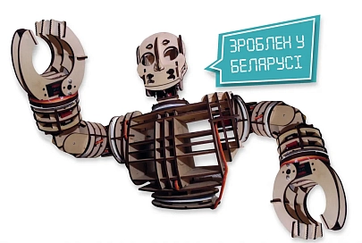 Белорусские ученые покажут человекоподобного робота и космический микромодуль