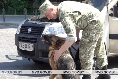 Кинологи в преддверии II Европейских игр заступили на охрану стадиона «Динамо»
