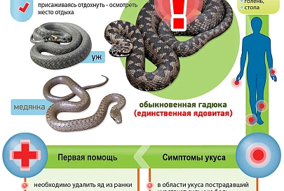 Профилактика укусов змей