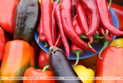 Минсельхозпрод: цены на овощную продукцию стабильны