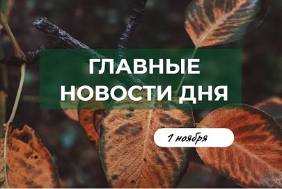 Главные новости дня. 1 ноября 2019 