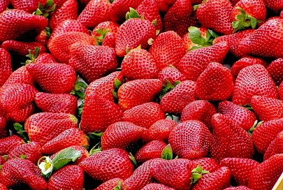 В Беларуси стартовал конкурс на самого экодружественного фермера с призовым фондом в 1 тыс. евро