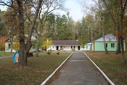 Объекты с молотка на любой вкус — автозаправка, контора лесничества, база отдыха