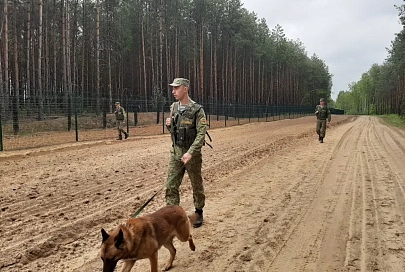 Украинец пытался попасть домой в обход белорусского пункта пропуска, чтобы избежать самоизоляции