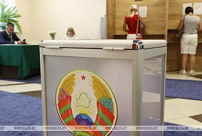 Нареканий по поводу работы ЦИК нет - международный наблюдатель