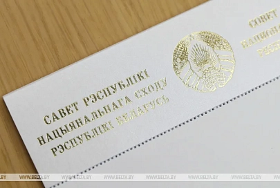 Сенаторы решительно осуждают действия деструктивных сил по дестабилизации ситуации в стране