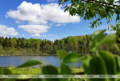 В Беларуси ограничено купание в 18 зонах отдыха, запрещено в 17