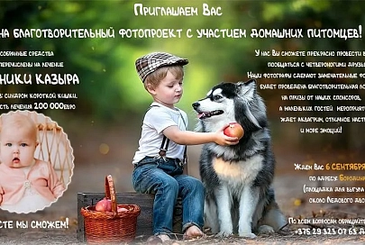 В Гомеле пройдет благотворительный фотопроект с участием домашних питомцев