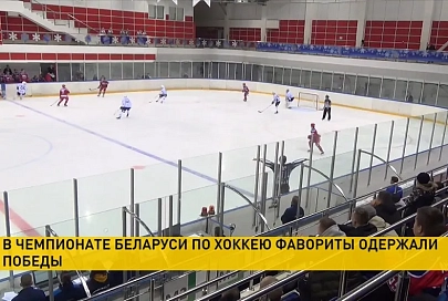 «Гомель» обыграл в Орше «Локомотив» в чемпионате Беларуси по хоккею