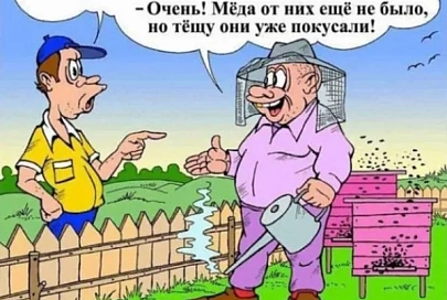 Свекровь моей тещи – мой лучший друг. Подборка анекдотов