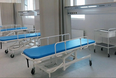 Бельгия изучает возможность госпитализации больных COVID-19 в соседние страны