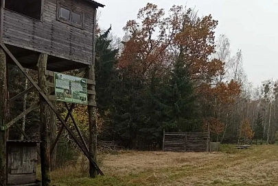В Беловежской пуще начали осенне-зимнюю подкормку диких животных