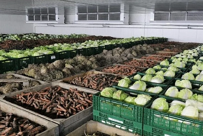 Запасы на зиму есть. В облисполкоме рассказали,  сколько заготовлено плодоовощной продукции для населения области