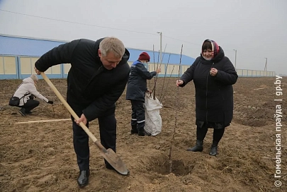 На новом молочно-товарном комплексе «Косачев» в Брагинском районе появился яблоневый сад