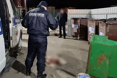 Найдена женщина, которая могла выбросить младенца в мусорный контейнер в Витебске