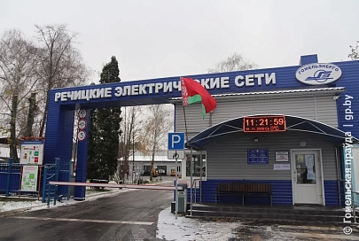 О сотрудничестве с лесоводами и фотоэлектростанции. Почему короед вредит не только лесной промышленности