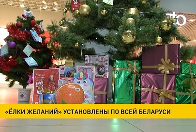 «Ёлки желаний» установили по всей Беларуси