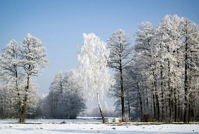 19 февраля в Гомеле прогнозируют до -27°С. Объявлен оранжевый уровень опасности