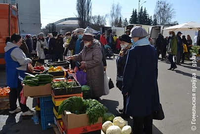 Фоторепортаж. В областном центре прошли ярмарки