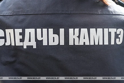 СК возбудил уголовные дела в отношении Николая Дедка