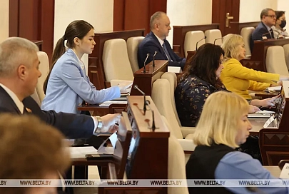 Депутаты приняли в первом чтении законопроект о массовых мероприятиях в Беларуси
