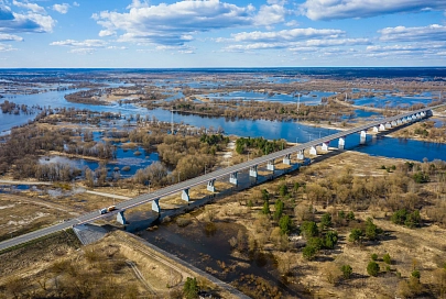 Фотофакт: разлив Припяти в Житковичском районе