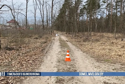 Под Гомелем обнаружено тело мужчины. Сыщики задержали подозреваемого в убийстве по горячим следам