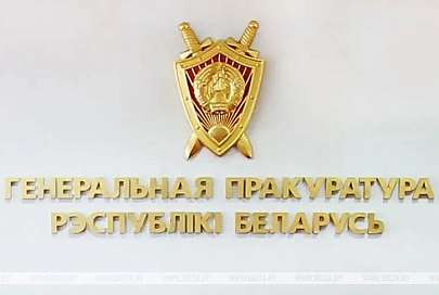 В Беларуси в послевыборный период осуждено более 70 неонацистов - Швед