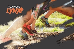 Любителям бега предлагают принять участие в TRAIL Running LYNX