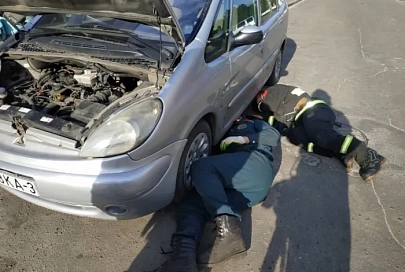 В Светлогорске спасатели помогли извлечь кота, который застрял под защитой двигателя автомобиля