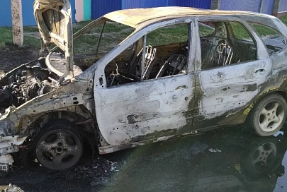 В Жлобинском районе сгорел автомобиль