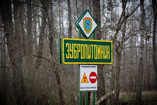 В Хойниках обсудили проект программы восстановления чернобыльских земель