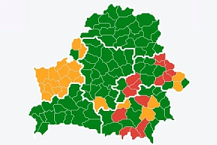 Запреты и ограничения на посещение лесов действуют в 8 районах Гомельской области