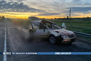 В Буда-Кошелевском районе автомобиль сбил лося. Один человек погиб, трое ранены
