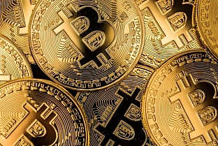 Фермер заработал 7 миллионов долларов, добывая криптовалюту ко­ровьим навозом