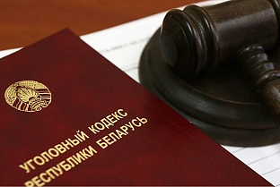 Уголовное дело в отношении Марии Колесниковой и Максима Знака направлено в суд