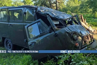 За выходные в ДТП на Гомельщине пострадали водитель, велосипедист и пешеход