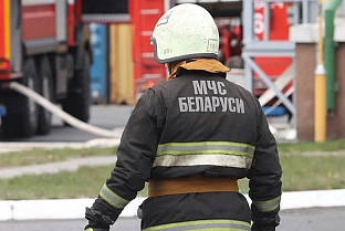 Пожар уничтожил 35 т сена в Рогачевском районе