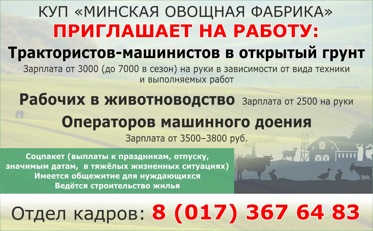 banner-image banner-image