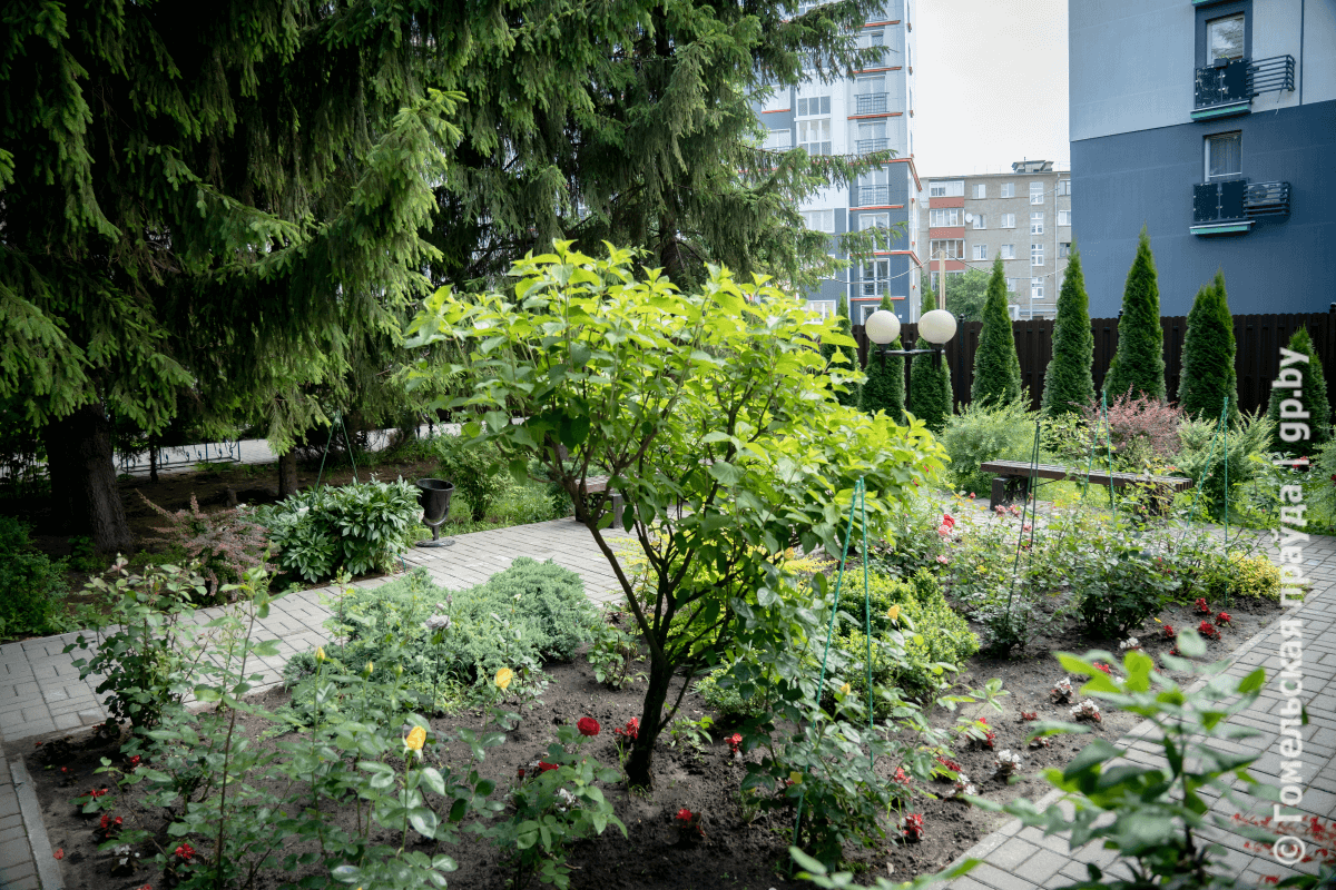 Simple gallery image